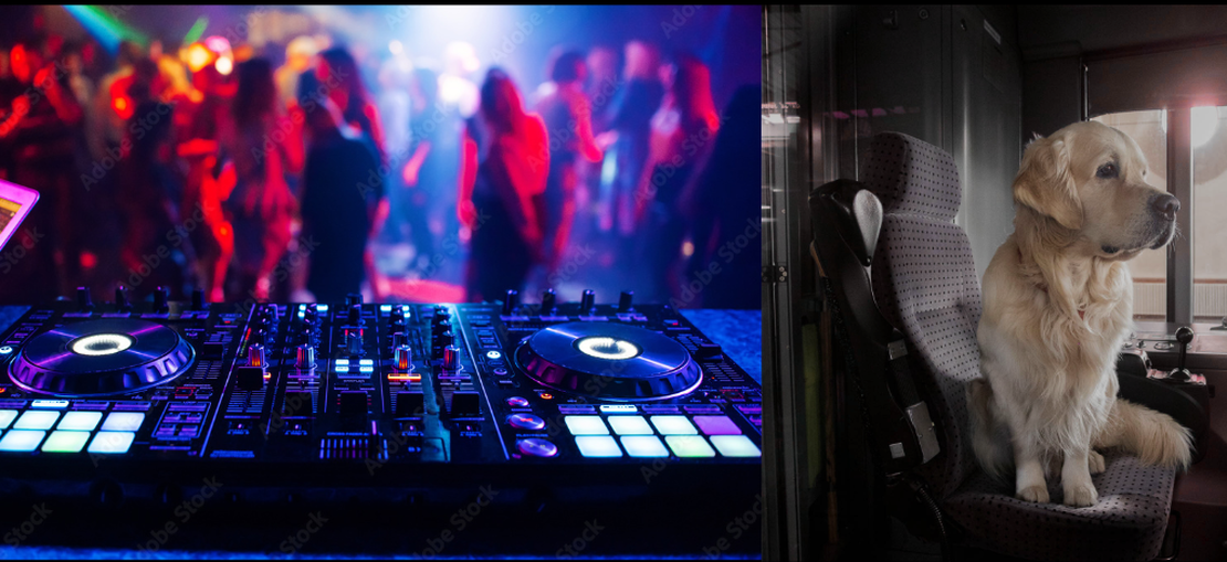 Voidline Sommersemester 2025